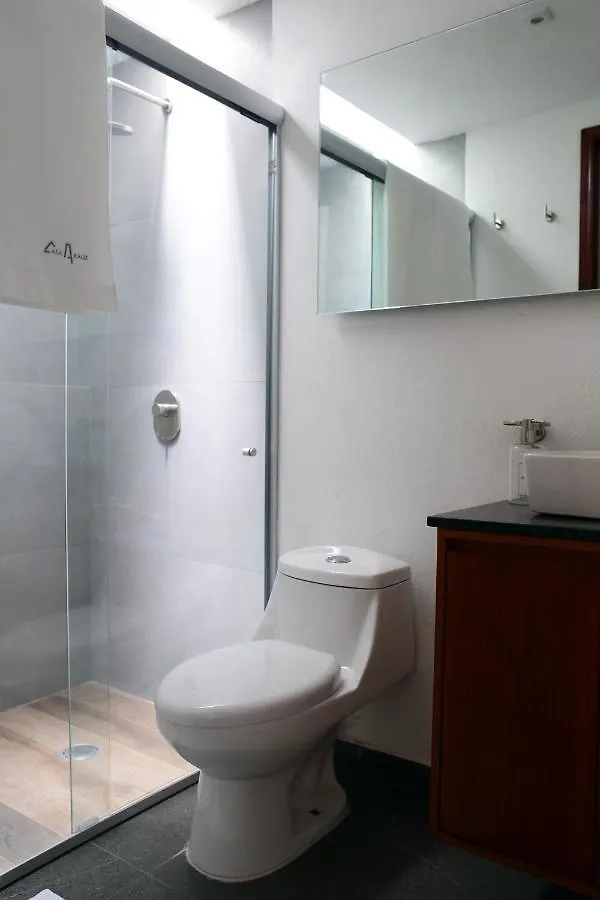 דירות גואדלחארה Casa Arauz 0*,